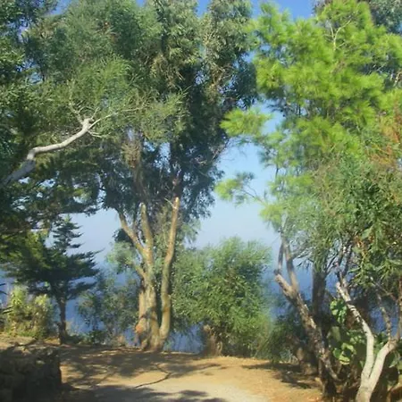 Sull'arco Dell'elefante Tracino